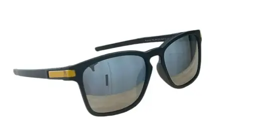 Gafas de sol - Alpine Vision Black/Silver