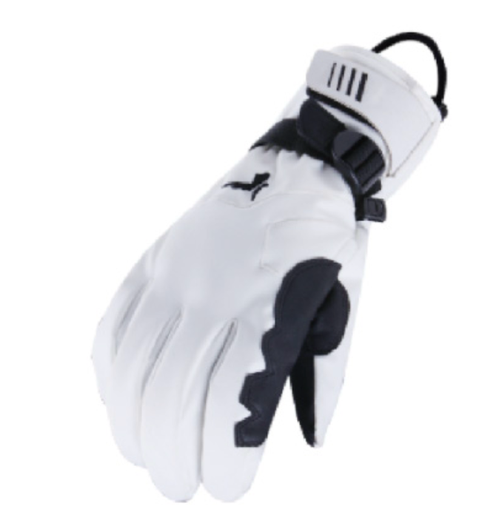 Tittallon Tech. Ski gloves white